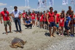 OASI DEL WWF, POLICORO - L’area comprende una delle zone di maggior pregio naturalistico della Riserva: l'ambiente è tipicamente marino,con la presenza dell'ultimo residuo di foresta igrofila, distante solo pochi metri dal Mar Jonio. Tra gli elementi naturali più significativi ci sono le aree boschive, la macchia mediterranea, zone acquitrinose e sabbiose comprese nella aree più a sud della Riserva. E' dunque un luogo di eccezionale interesse per lo studio, l'osservazione e la didattica relativi alla fauna e agli ecosistemi legati a questo particolare bosco che rappresenta un vero e proprio laboratorio naturale all’aperto.
